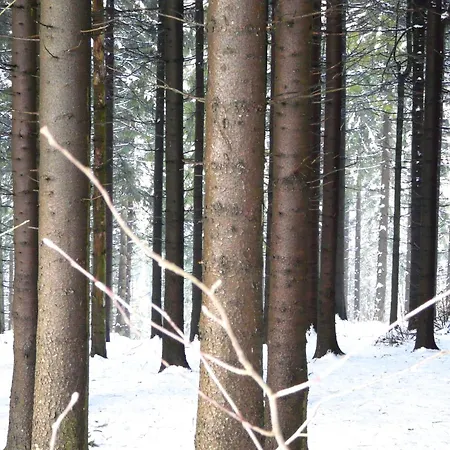 Prázdninový dům Landfein Big Winterberg