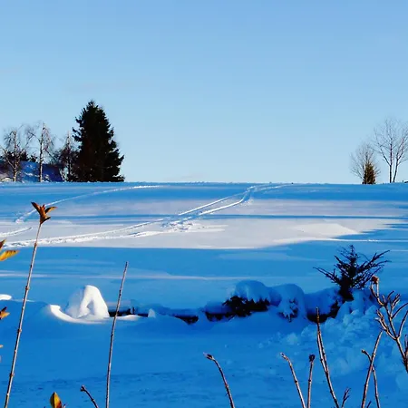 Landfein Big Nyaraló *