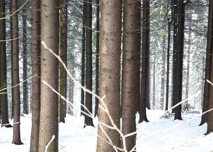 Сasa de vacaciones Landfein Big Winterberg