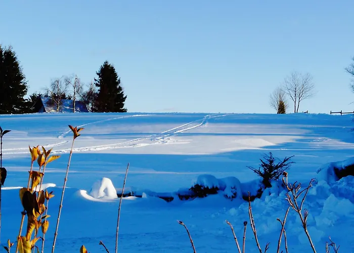 Landfein Big Casa vacanze *